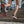 Load image into Gallery viewer, 1767 nimbleToes addict